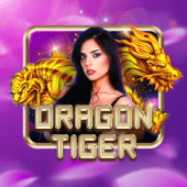 Dragon Tiger Data Analysis