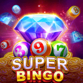Super Bingo - Premium Gaming Experience